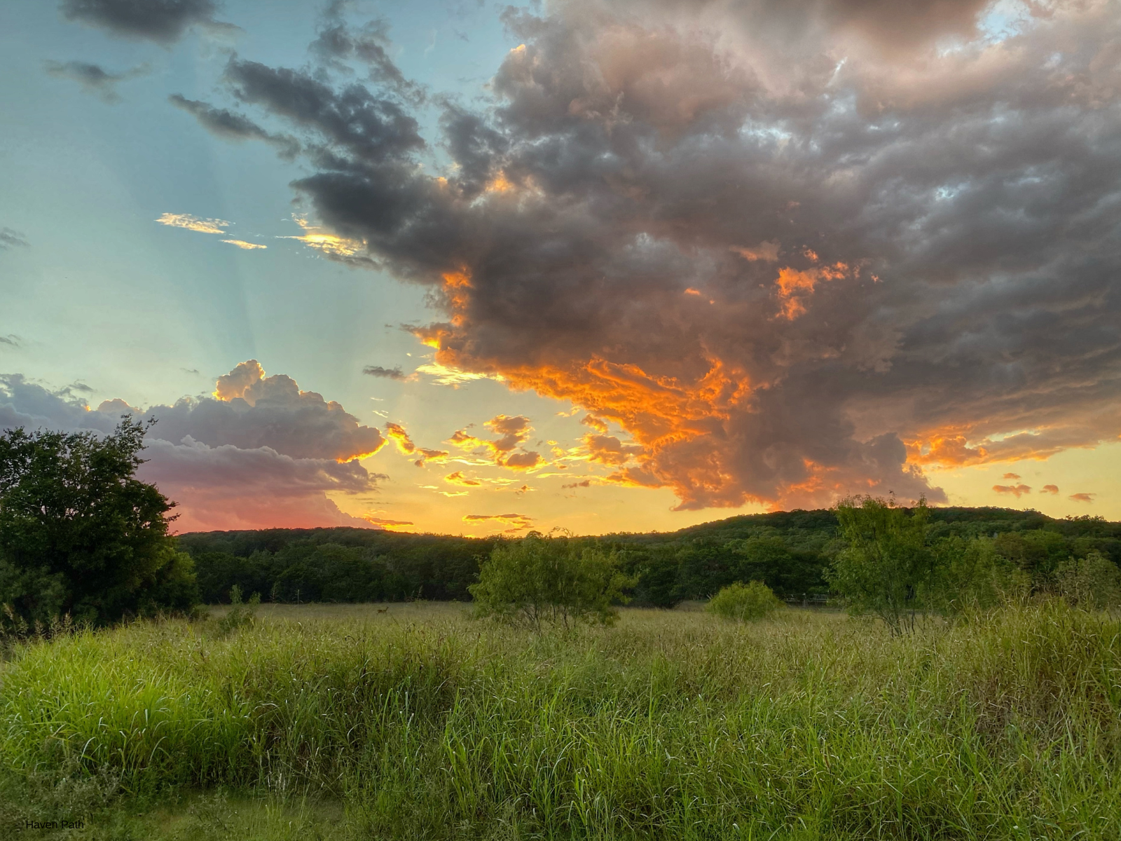 Hill Country